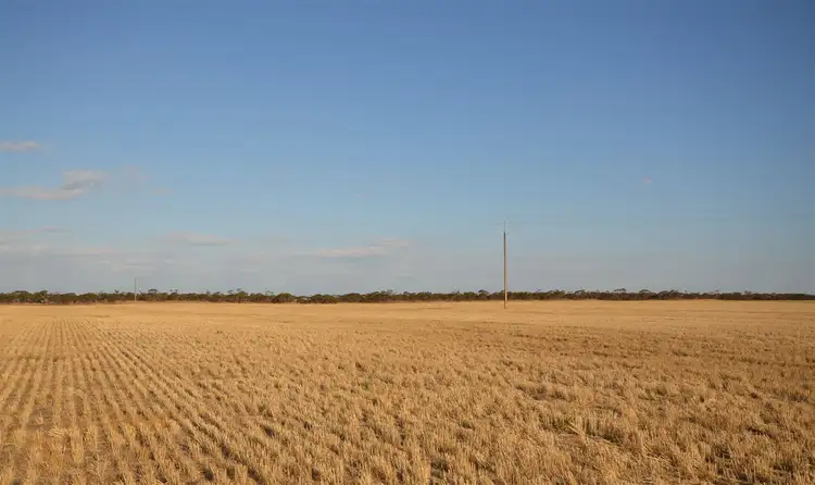 Seventh view of Homely rural property listing, 7716 Mallee Highway, Parrakie SA 5301
