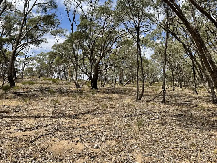 Seventh view of Homely rural property listing, 0 Wimmera Highway, St Arnaud VIC 3478