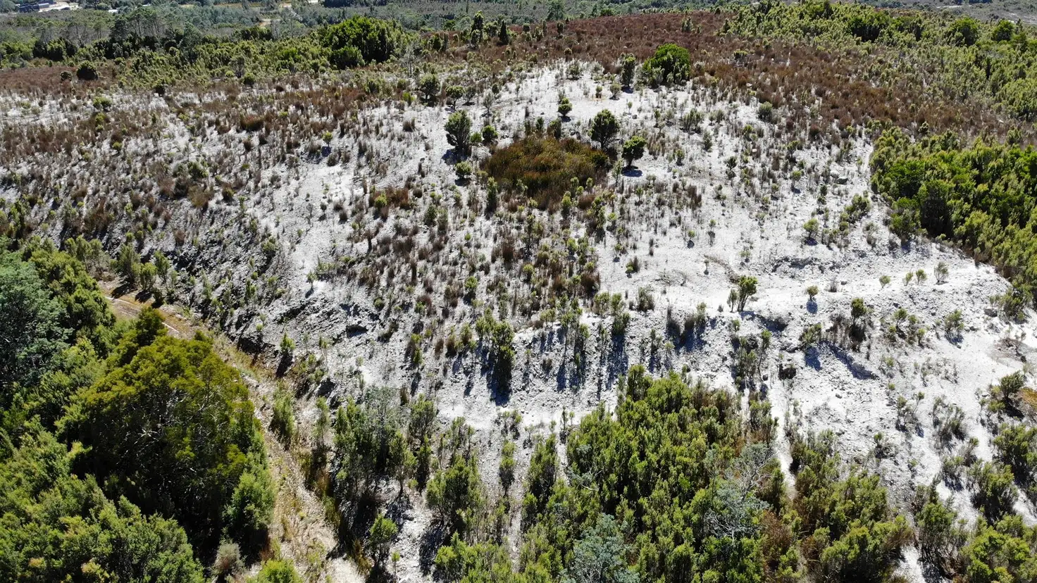 Main view of Homely land listing, 7 Lyell Street, Gormanston TAS 7466