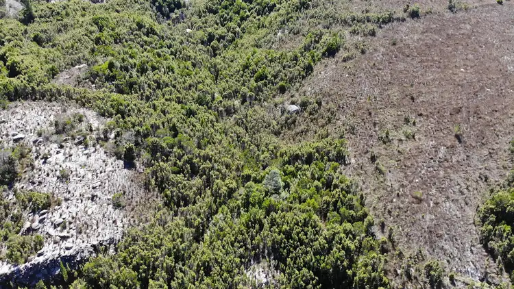 Third view of Homely land listing, 3197419 Sadler Street, Gormanston TAS 7466