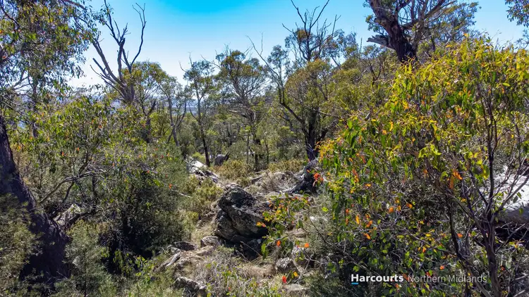 Fourth view of Homely land listing, 6 Johnsons Road, Miena TAS 7030