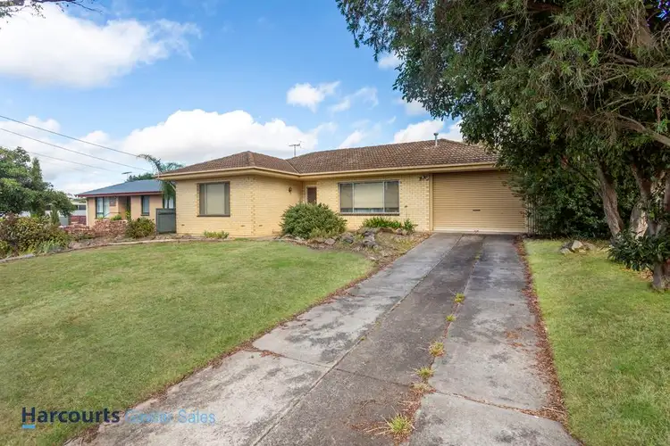 Second view of Homely house listing, 11 Elizabeth Avenue, Nuriootpa SA 5355