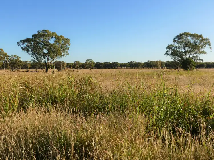 Fourth view of Homely rural property listing, Larnook 5304 Warrego Highway, Mungallala, Roma QLD 4455