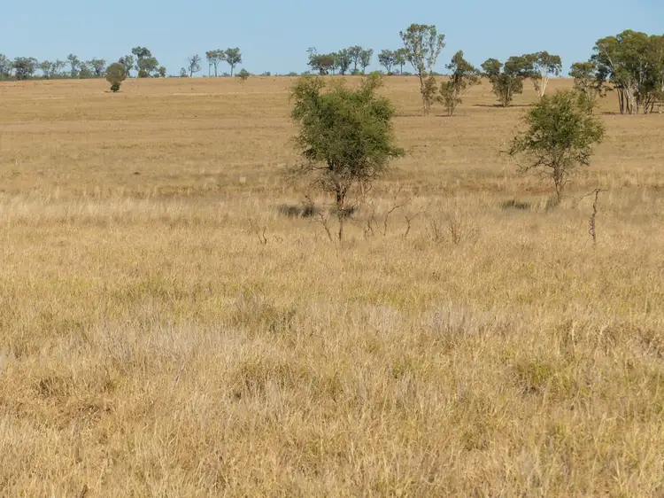 Fifth view of Homely rural property listing, Larnook 5304 Warrego Highway, Mungallala, Roma QLD 4455