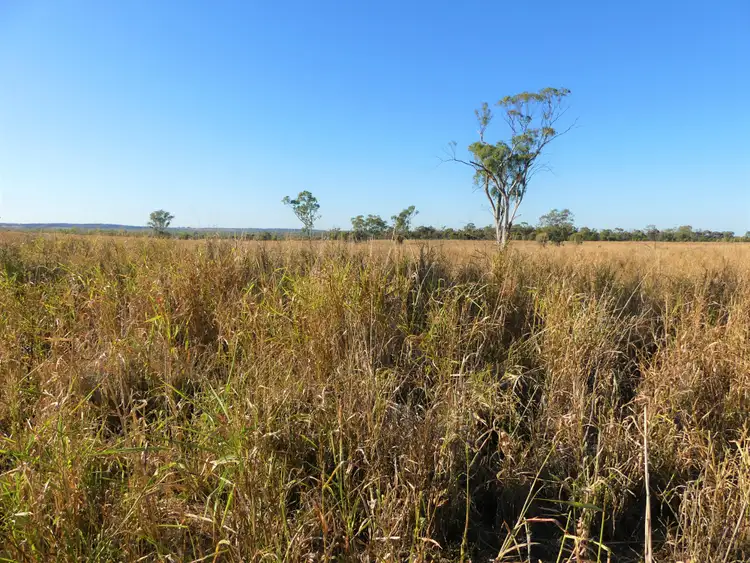 Sixth view of Homely rural property listing, Larnook 5304 Warrego Highway, Mungallala, Roma QLD 4455