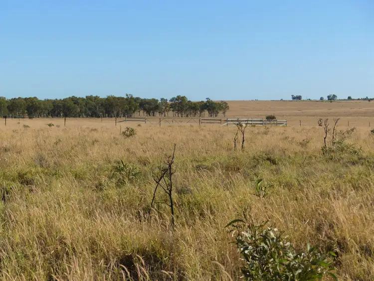 Seventh view of Homely rural property listing, Larnook 5304 Warrego Highway, Mungallala, Roma QLD 4455