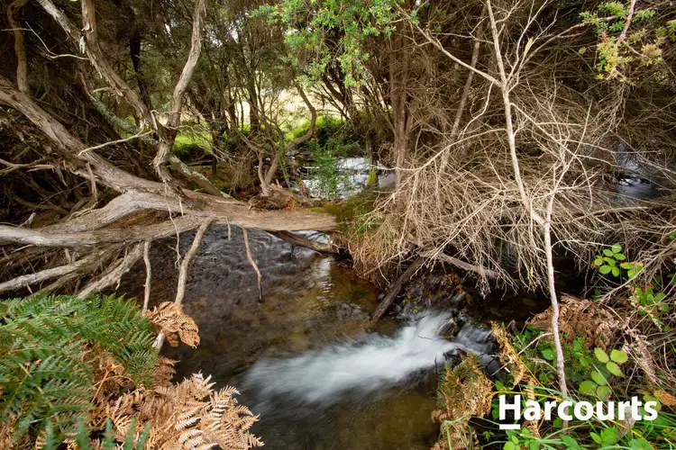 Third view of Homely house listing, 435 Liena Road, Mole Creek TAS 7304