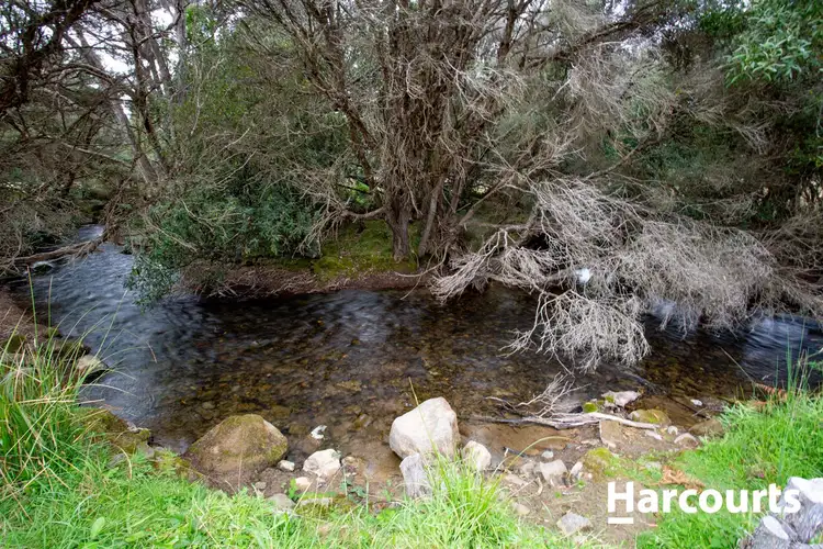 Fourth view of Homely house listing, 435 Liena Road, Mole Creek TAS 7304