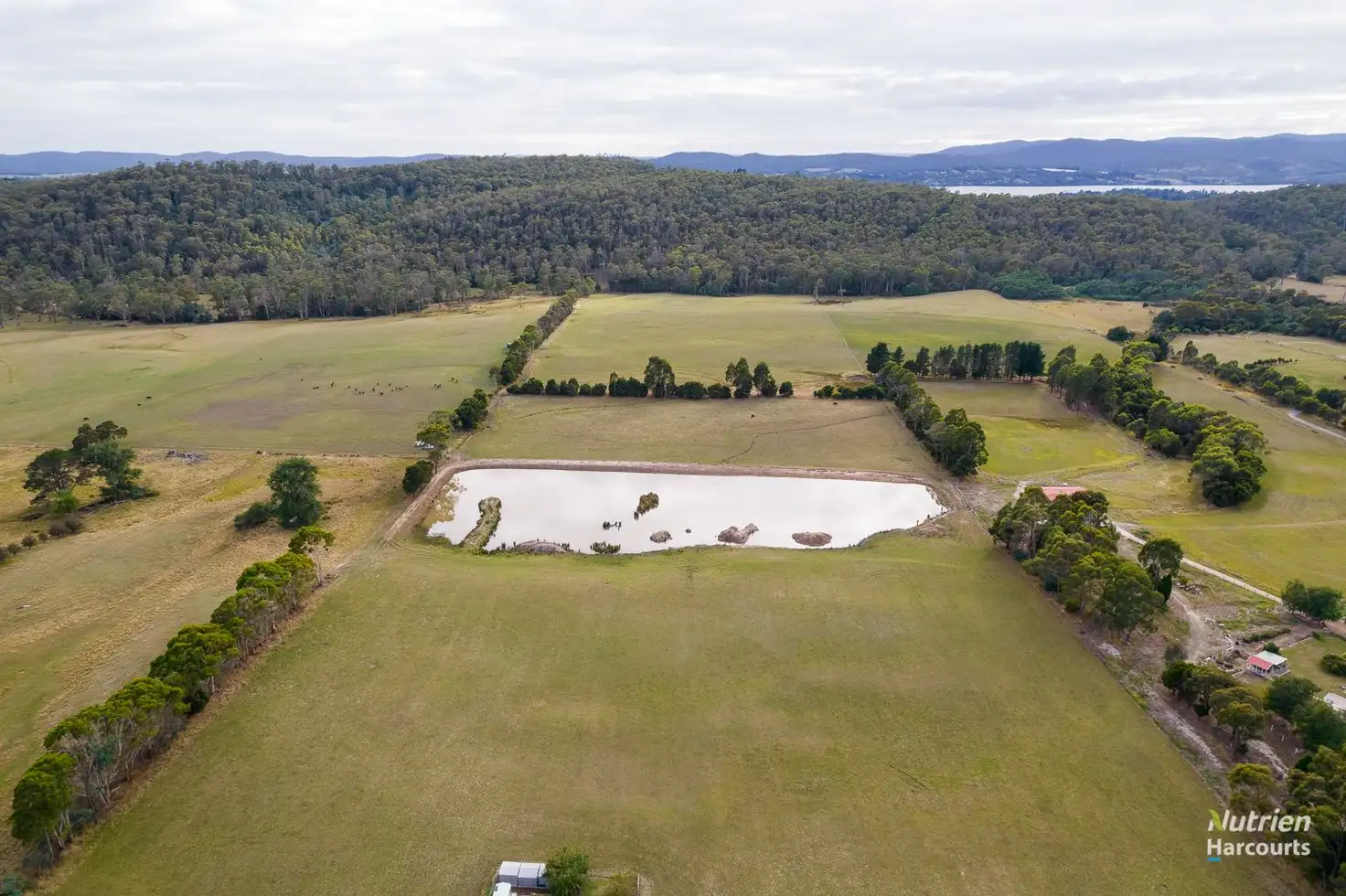 Main view of Homely rural property listing, . West Tamar Highway, Loira TAS 7275