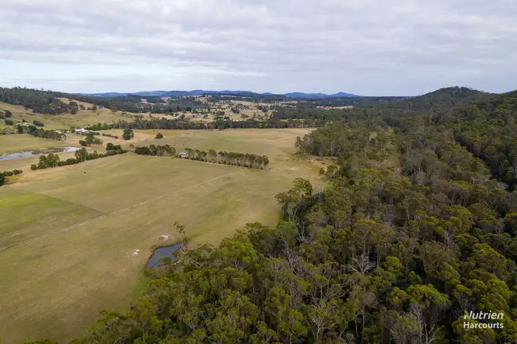 Sixth view of Homely rural property listing, . West Tamar Highway, Loira TAS 7275