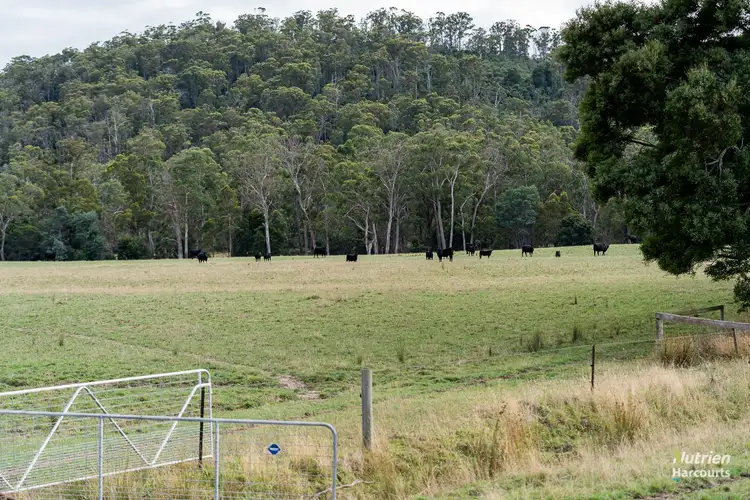 Seventh view of Homely rural property listing, . West Tamar Highway, Loira TAS 7275