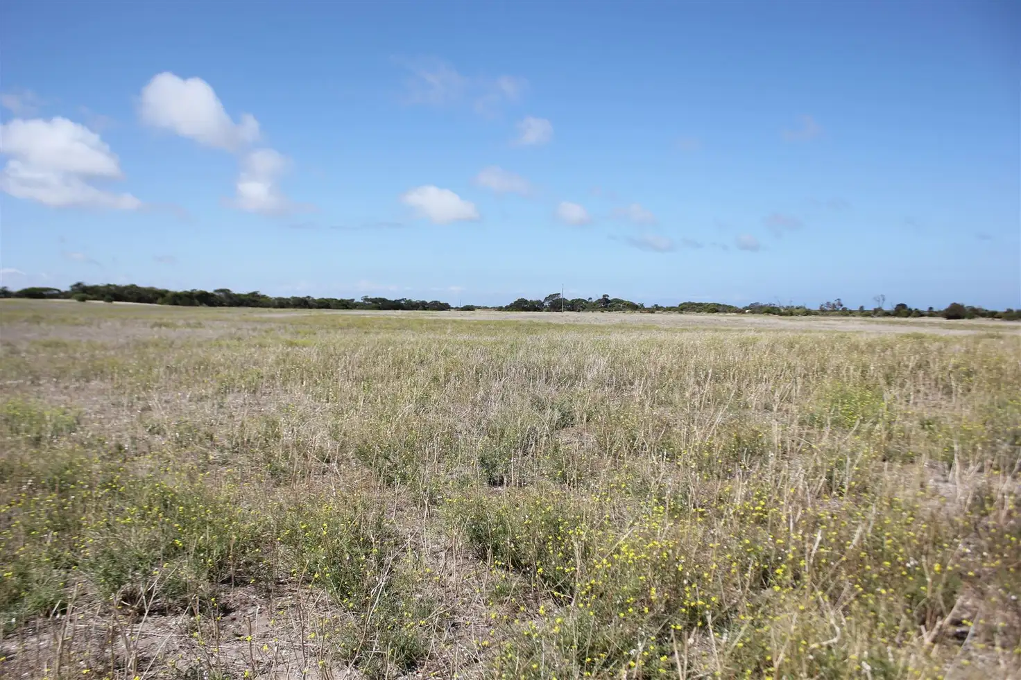 Main view of Homely rural property listing, 3015 South Coast Road, Foul Bay SA 5577