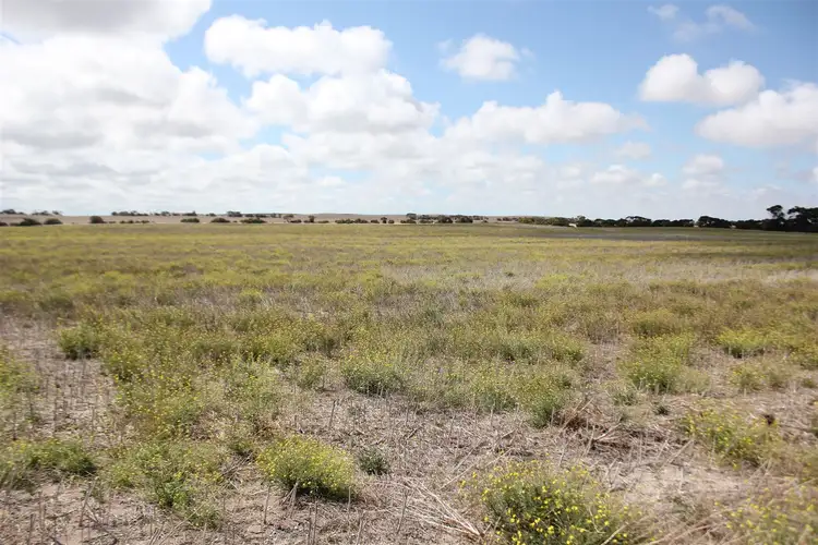 Second view of Homely rural property listing, 3015 South Coast Road, Foul Bay SA 5577