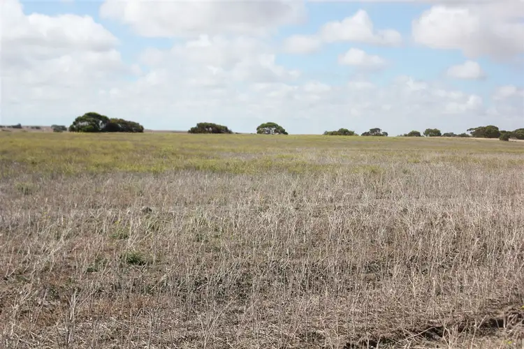 Third view of Homely rural property listing, 3015 South Coast Road, Foul Bay SA 5577