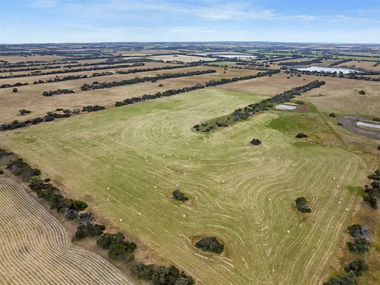 Fourth view of Homely rural property listing, Stage 1 Grindstone Park, Haines SA 5223