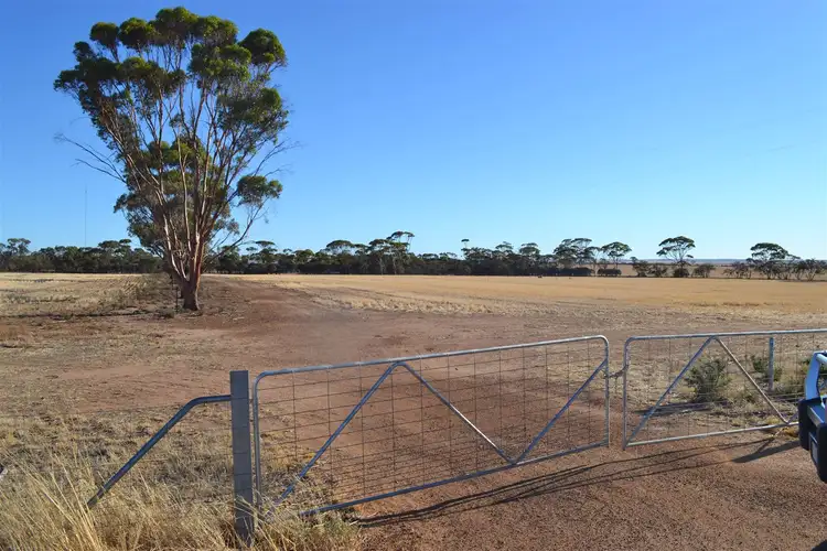 Second view of Homely rural property listing, . 'Brie-Brie', Koorda WA 6475
