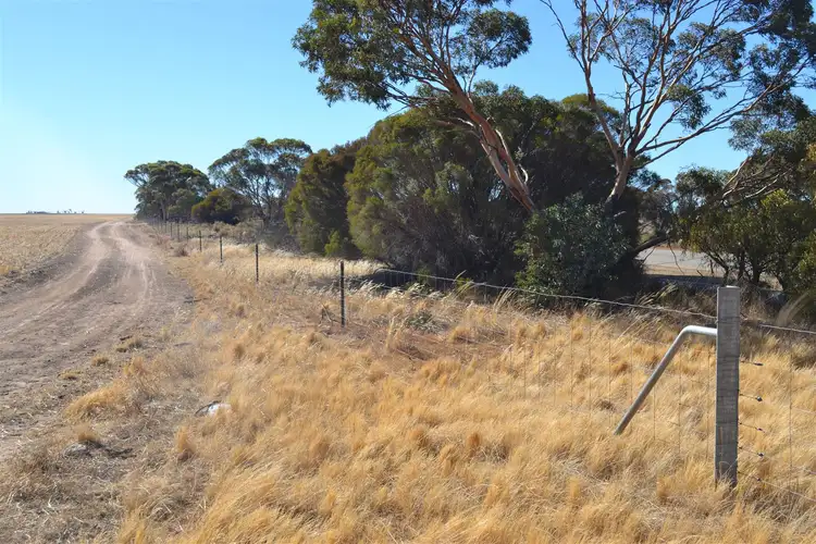Fourth view of Homely rural property listing, . 'Brie-Brie', Koorda WA 6475