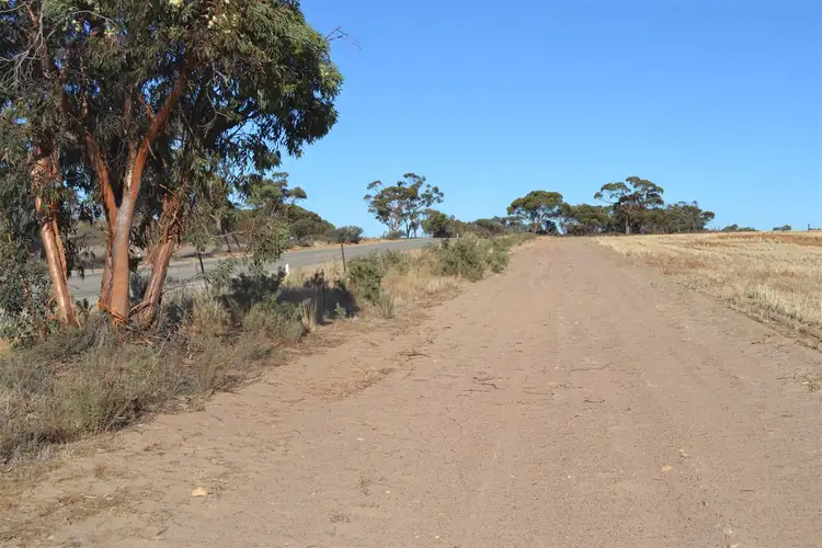 Fifth view of Homely rural property listing, . 'Brie-Brie', Koorda WA 6475