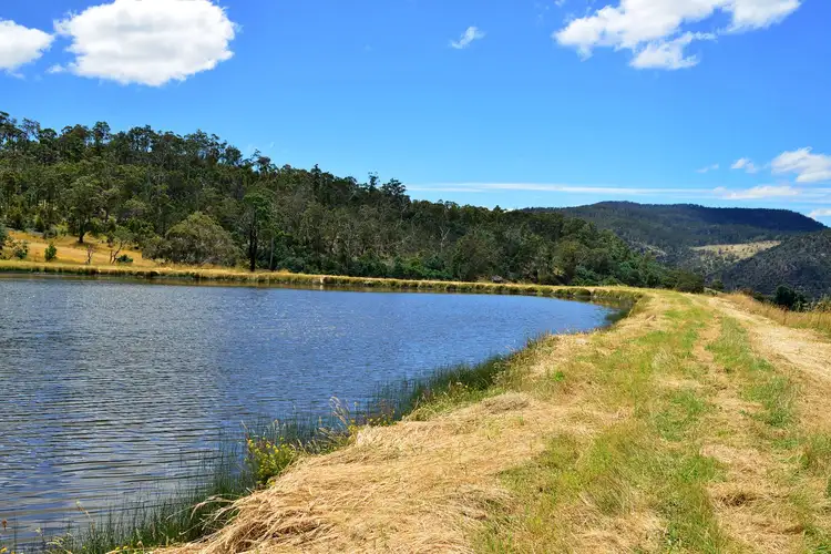 Seventh view of Homely rural property listing, 1181 Elderslie Road, Broadmarsh TAS 7030