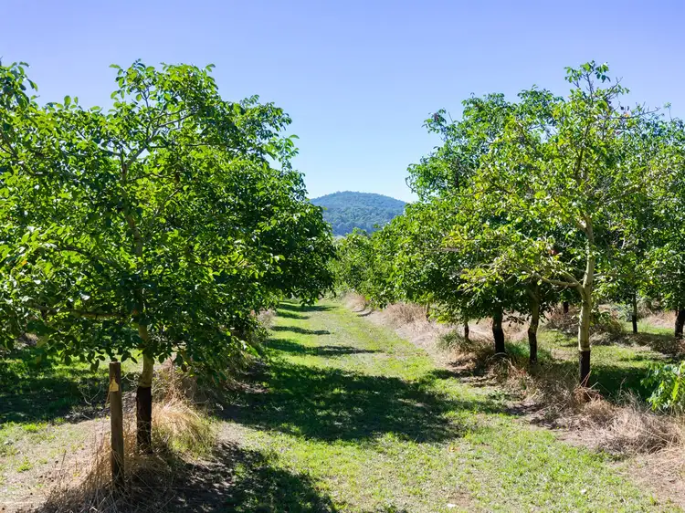 699 Ankers Road, Strathbogie VIC 3666
