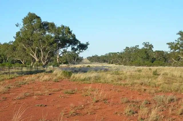 Third view of Homely rural property listing, * Scrubby on Yanda, Cobar NSW 2835
