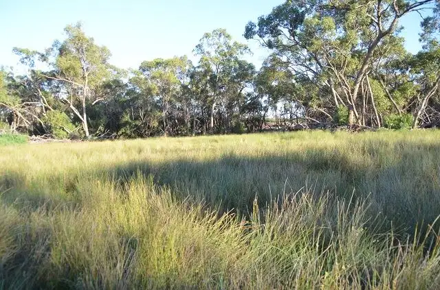 Fourth view of Homely rural property listing, * Scrubby on Yanda, Cobar NSW 2835