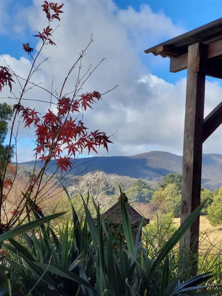 Fourth view of Homely rural property listing, 381 Budawang Road, Braidwood NSW 2622
