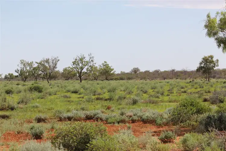 Main view of Homely rural property listing, . Lake Stewart Station, Tibooburra NSW 2880