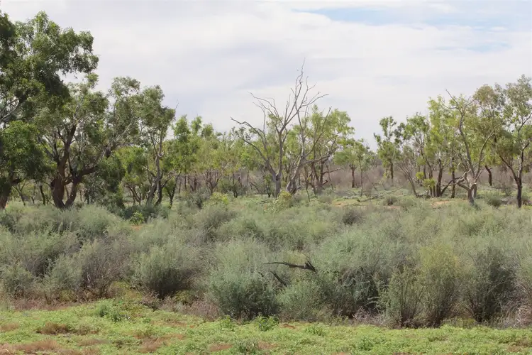 Third view of Homely rural property listing, . Lake Stewart Station, Tibooburra NSW 2880