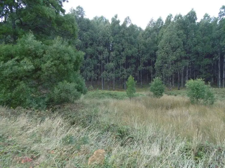 Second view of Homely rural property listing, 293 Roger River Road, Roger River TAS 7330