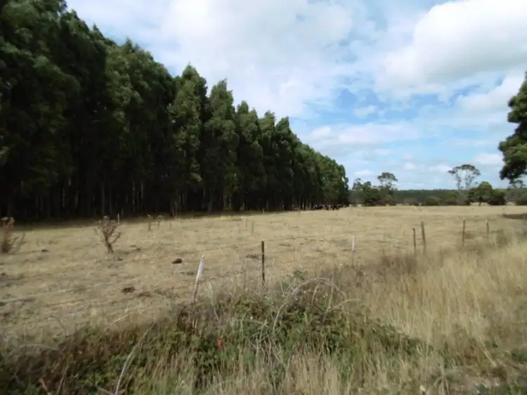 Seventh view of Homely rural property listing, 293 Roger River Road, Roger River TAS 7330