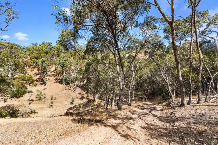 Sixth view of Homely rural property listing, Pieces 91 & 92 Isaac Road, Cudlee Creek SA 5232