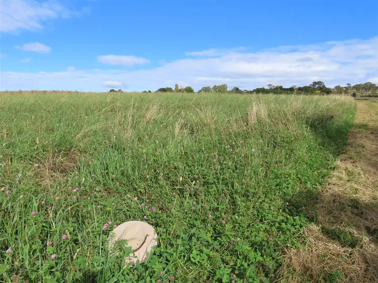 Second view of Homely rural property listing, 261 Glen Legh Road, Glen Innes NSW 2370
