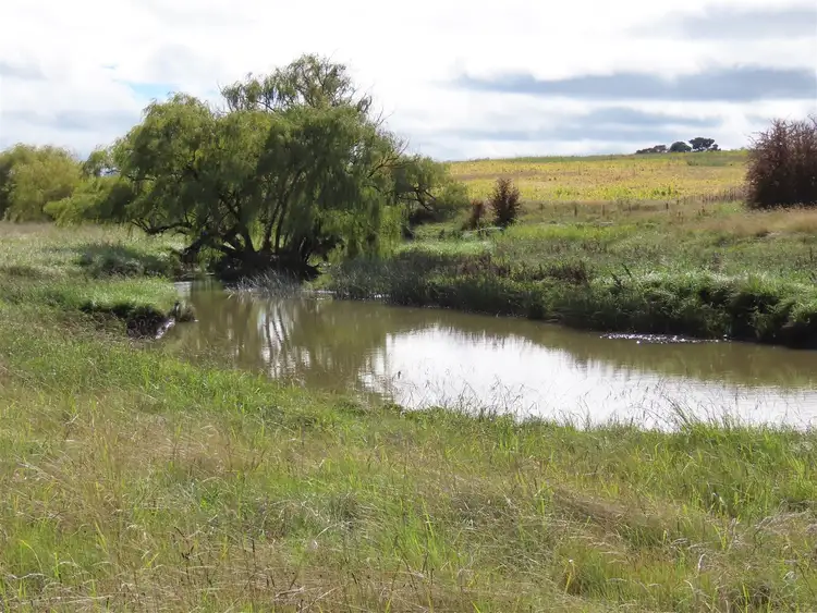 Sixth view of Homely rural property listing, 261 Glen Legh Road, Glen Innes NSW 2370