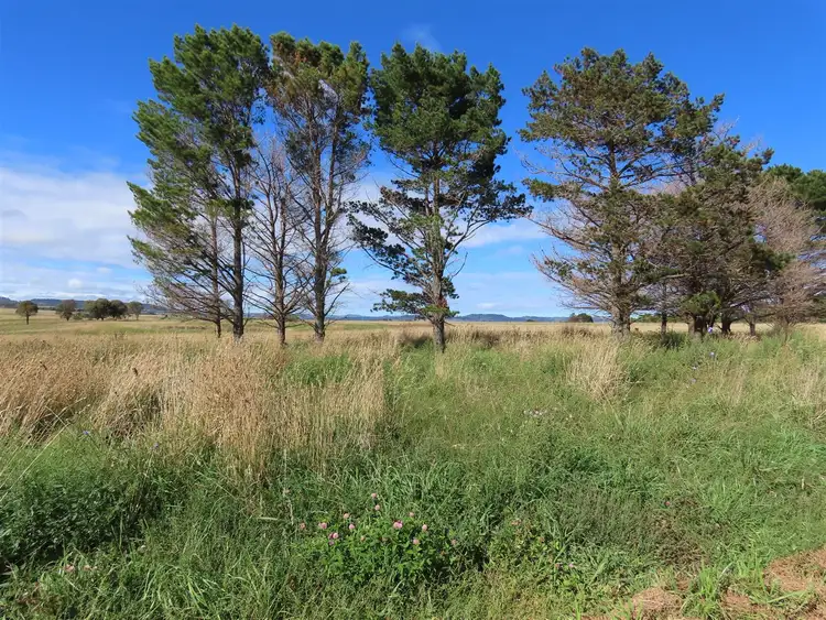 Seventh view of Homely rural property listing, 261 Glen Legh Road, Glen Innes NSW 2370
