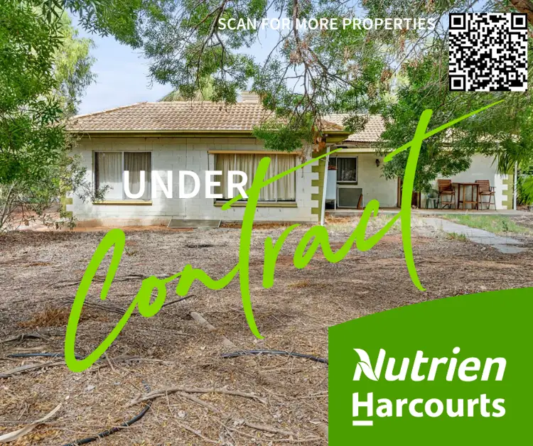 292 Chowilla Street, Renmark West SA 5341