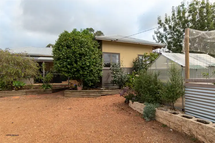 Main view of Homely house listing, 34 Ocean Beach Road, Denmark WA 6333