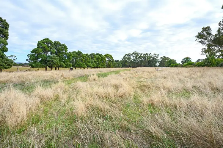 Fifth view of Homely land listing, 38 Walker Street, Wynyard TAS 7325
