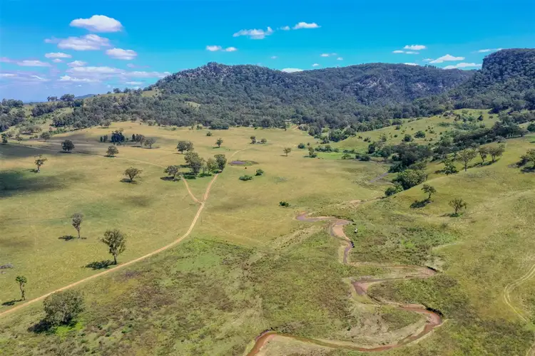 Main view of Homely rural property listing, 700 Halls Road, Aberdeen NSW 2336