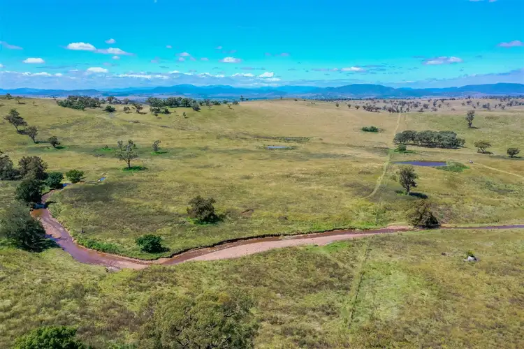 Fourth view of Homely rural property listing, 700 Halls Road, Aberdeen NSW 2336