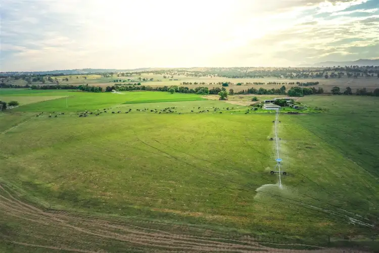 Main view of Homely rural property listing, 340 Blairmore Lane, Aberdeen NSW 2336