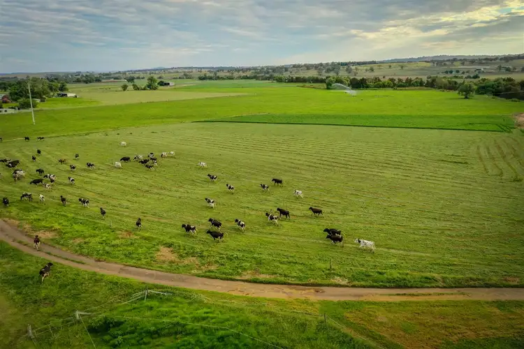 Second view of Homely rural property listing, 340 Blairmore Lane, Aberdeen NSW 2336