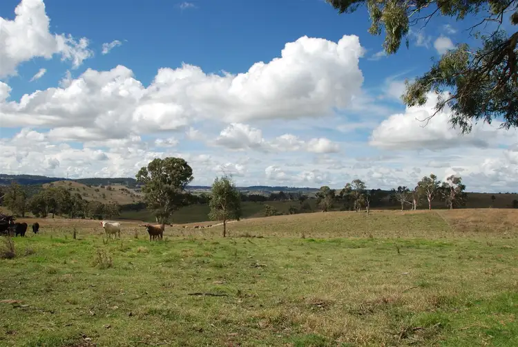 Third view of Homely rural property listing, 189 Oxley Drive, Walcha NSW 2354