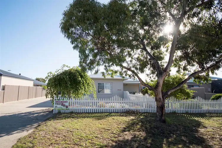 Main view of Homely house listing, 40 Gunton Circle, Castletown WA 6450