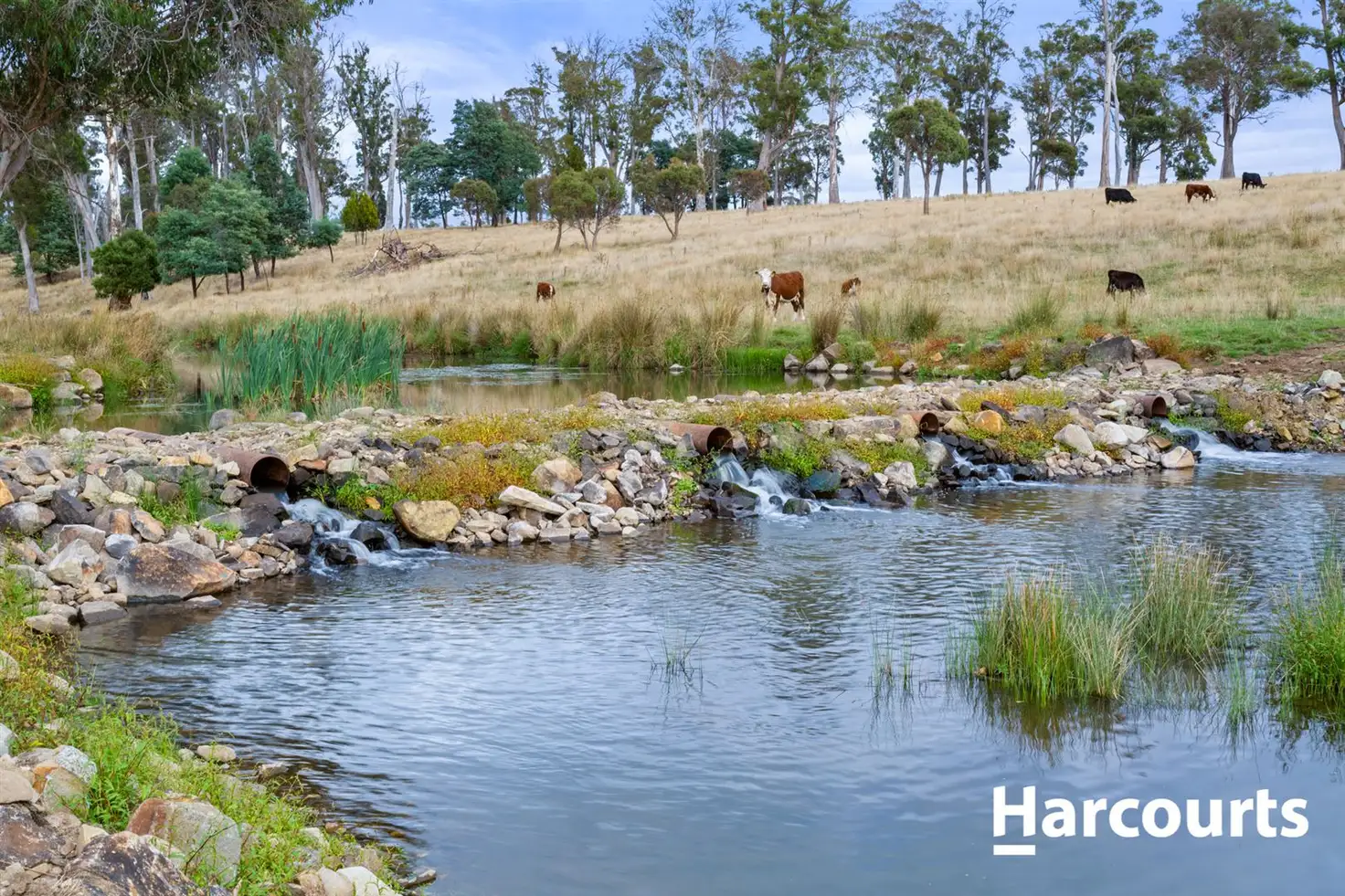 Main view of Homely rural property listing, 240 Osmaston Road, Westbury TAS 7303