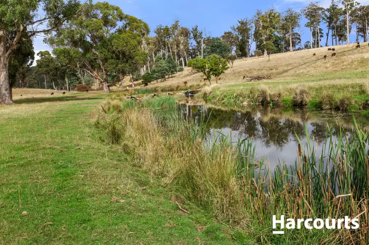 Fifth view of Homely rural property listing, 240 Osmaston Road, Westbury TAS 7303