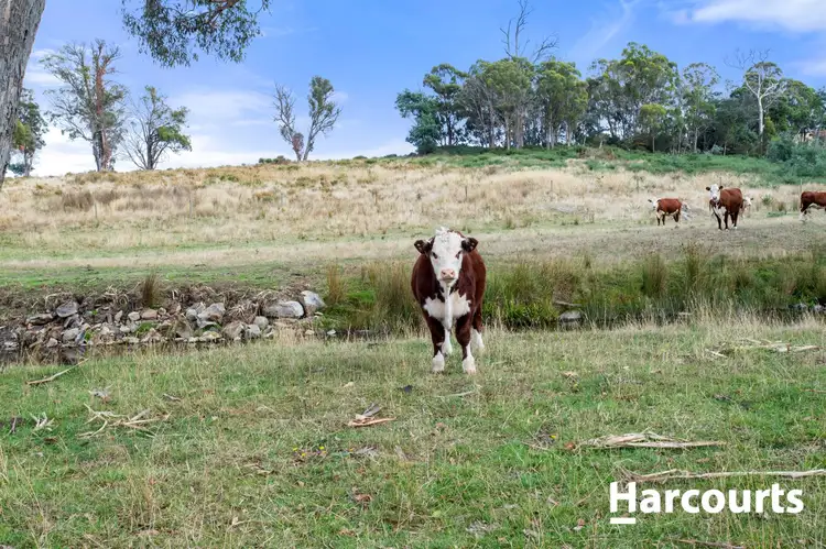 Sixth view of Homely rural property listing, 240 Osmaston Road, Westbury TAS 7303