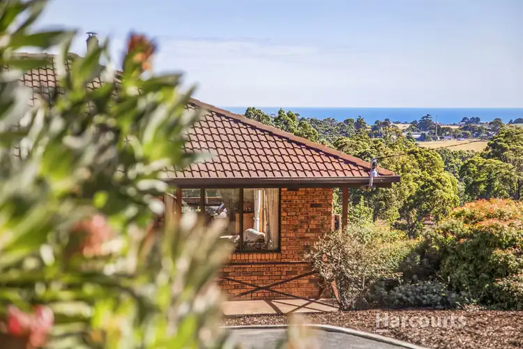 Third view of Homely house listing, 236 Ironcliffe Road, Penguin TAS 7316