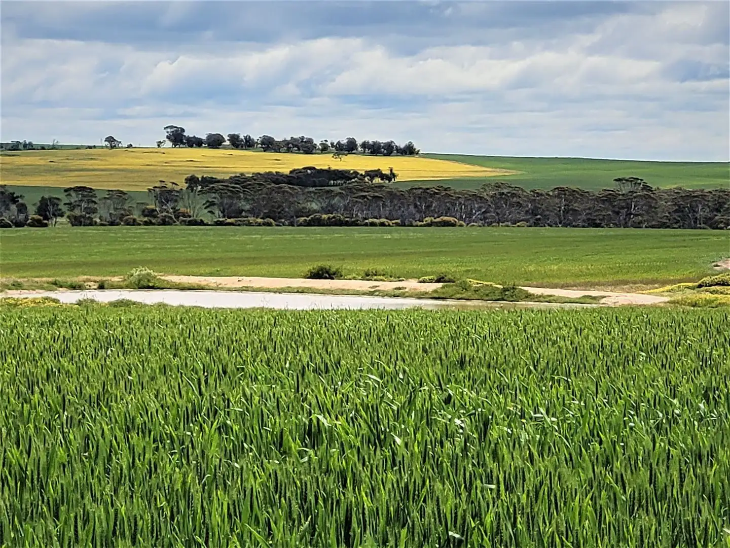 Main view of Homely rural property listing, Address available on request