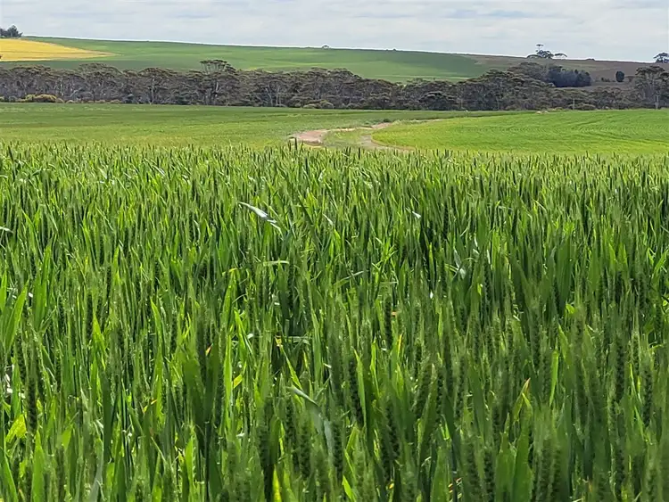 Third view of Homely rural property listing, Address available on request